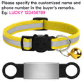 Collier réfléchissant personnalisé pour chat