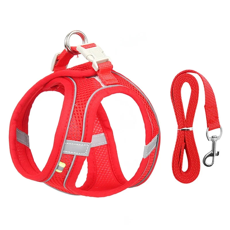 Ensemble harnais pour chiot et petit chien