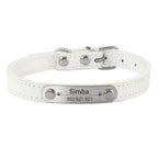 Collier personnalisé pour chien – prénom gravé anti-fugue