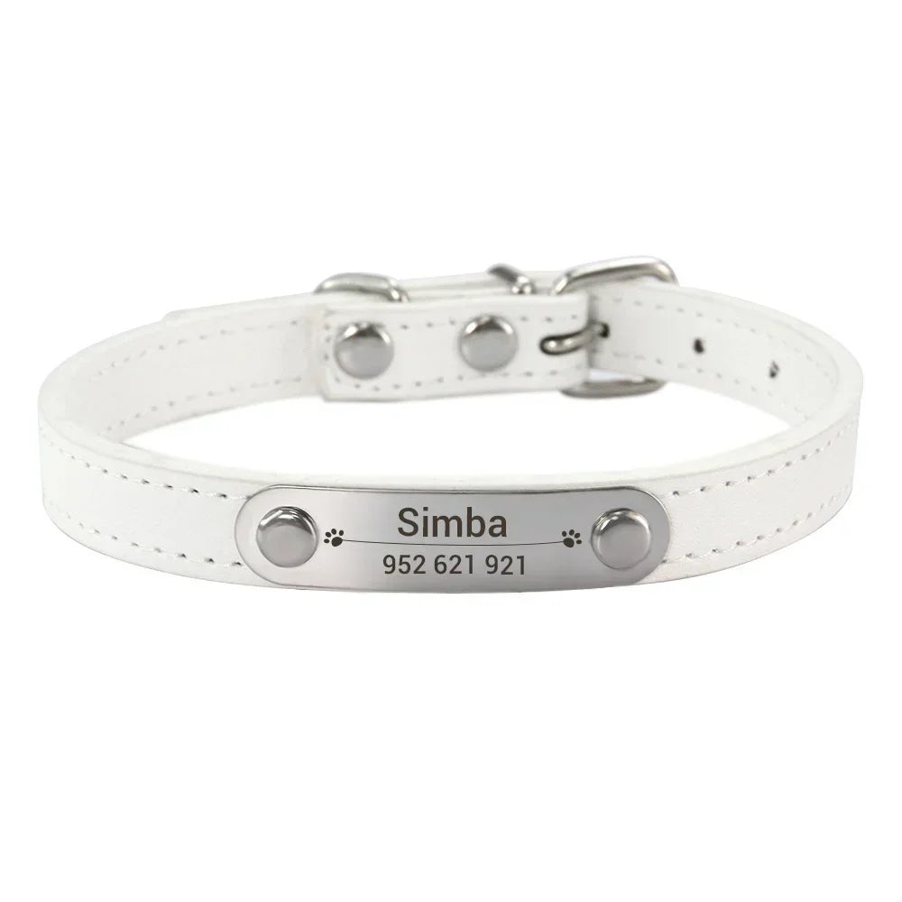 Collier personnalisé pour chien – prénom gravé anti-fugue