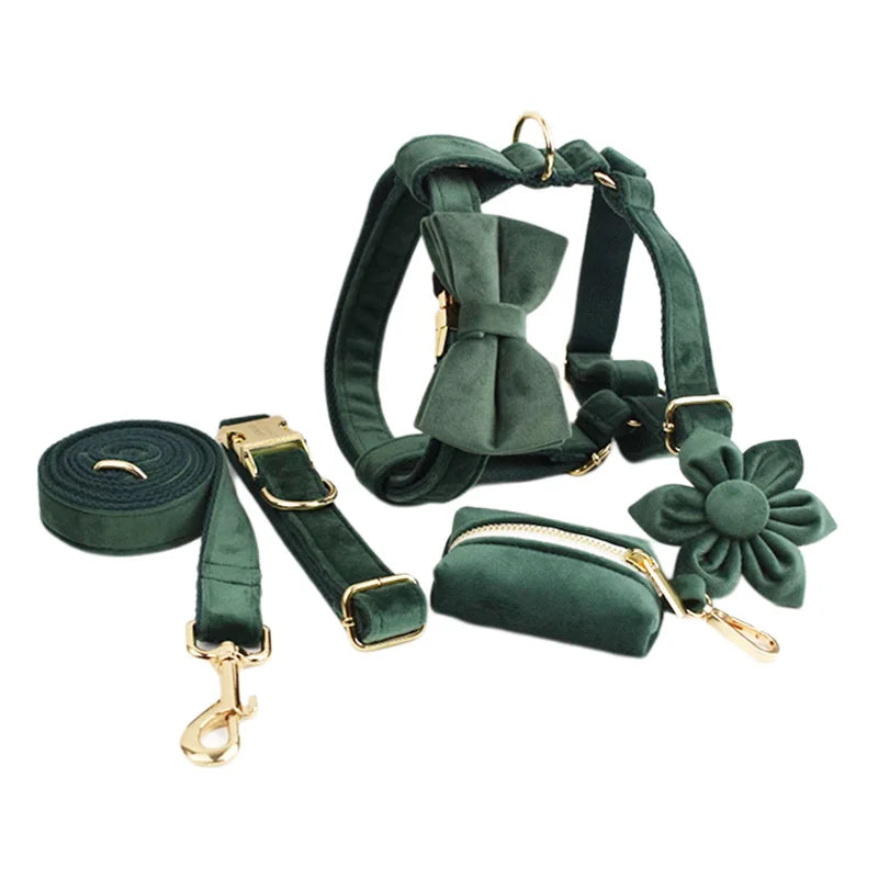 Ensemble collier, harnais et laisse en velours