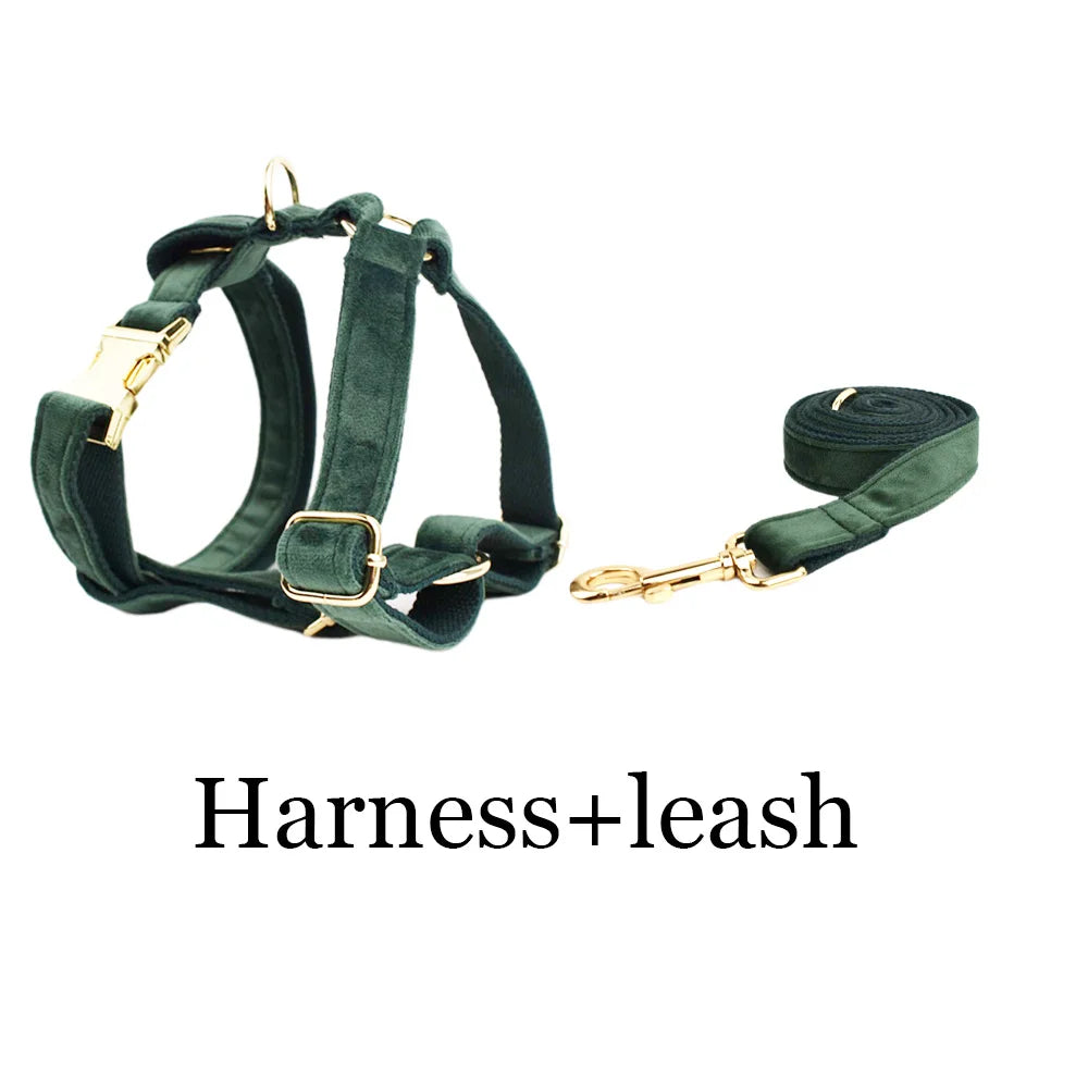 Ensemble collier, harnais et laisse en velours