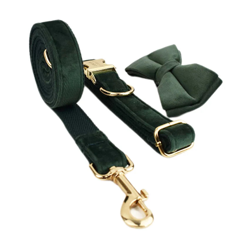 Ensemble collier, harnais et laisse en velours