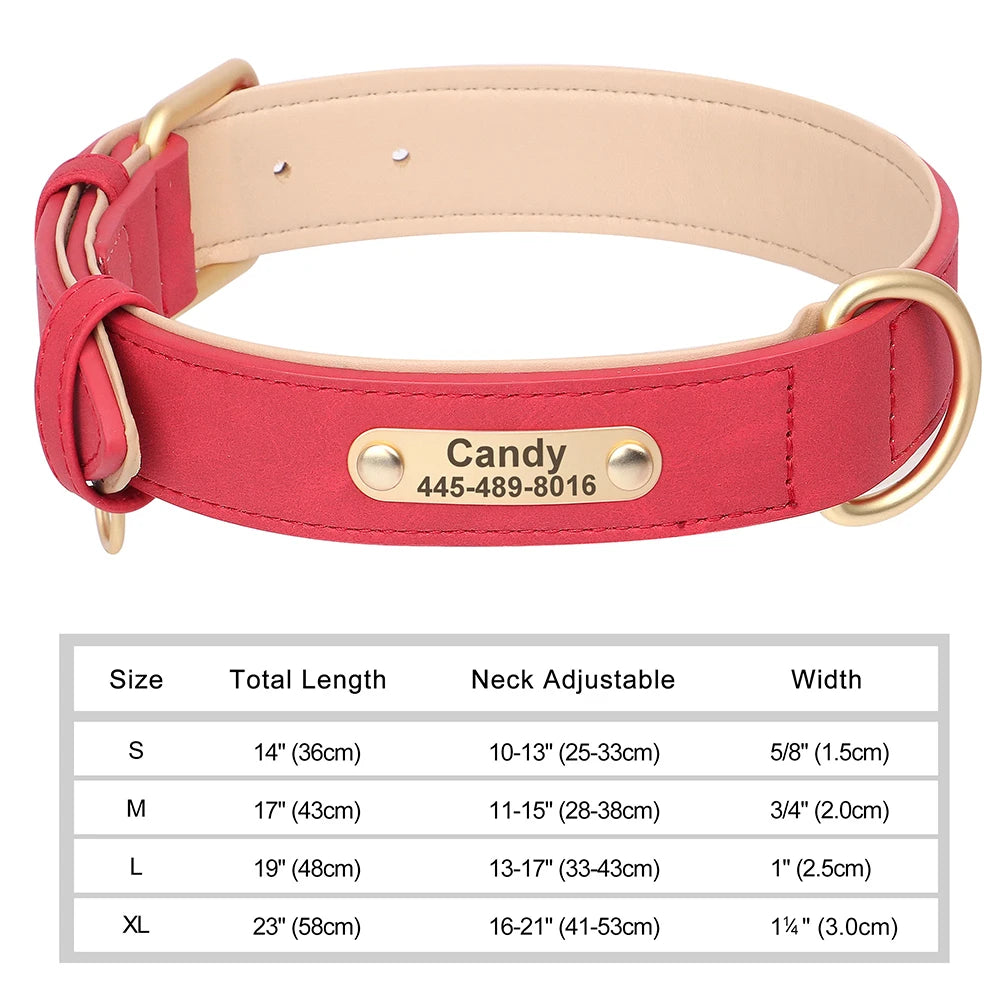 Collier personnalisé doré pour chien