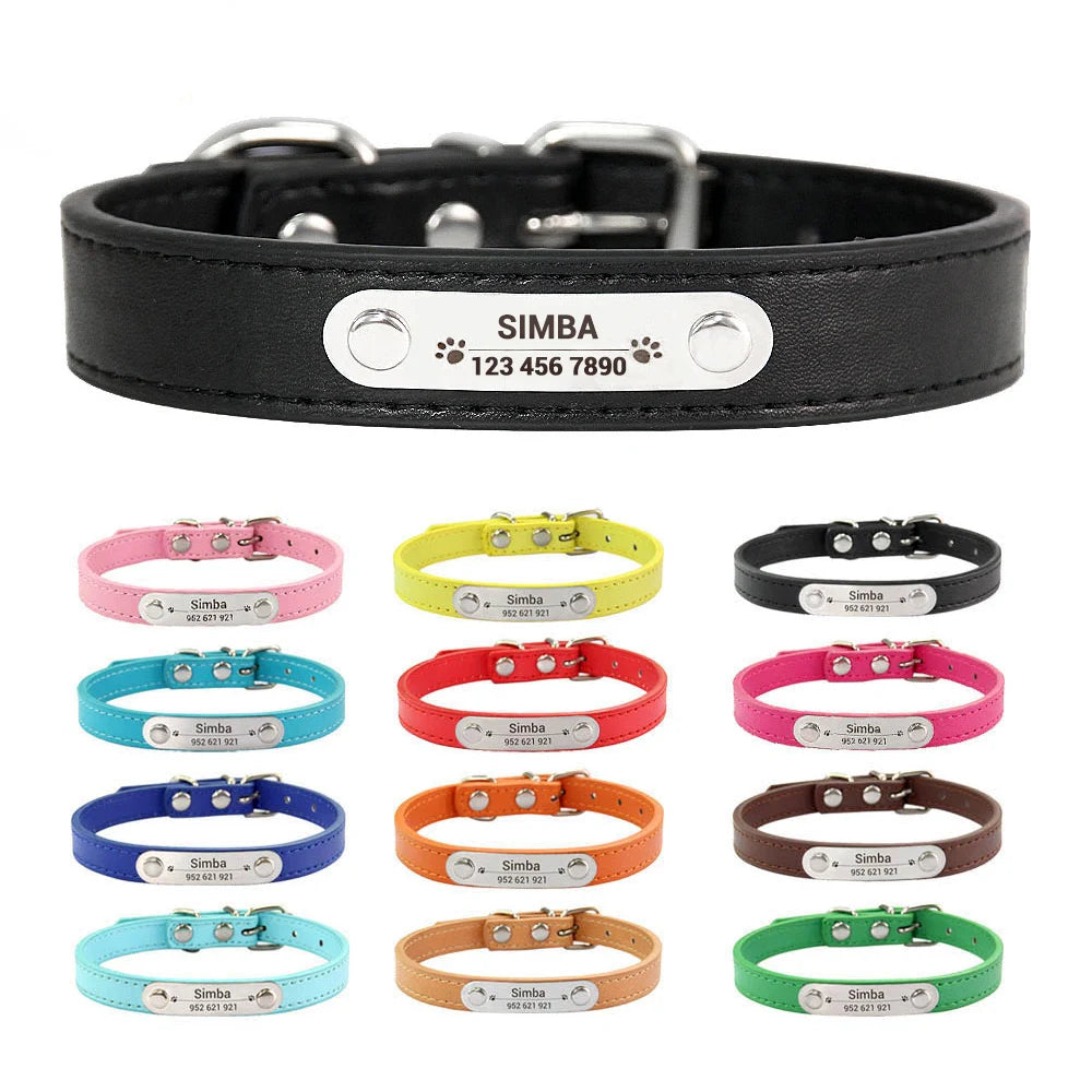 Collier personnalisé pour chien – prénom gravé anti-fugue