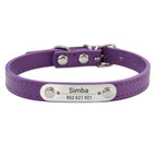 Collier personnalisé pour chien – prénom gravé anti-fugue