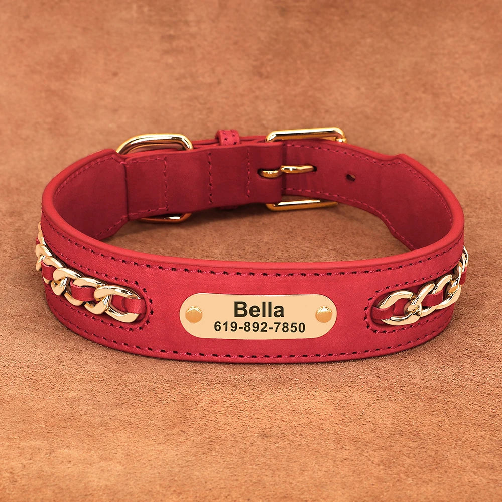 Collier en cuir personnalisé pour chien – plaque d'identification