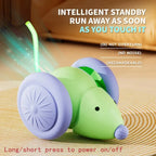 Balle interactive automatique pour chat – rechargeable USB