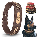 Collier en cuir personnalisé pour chien – plaque d'identification
