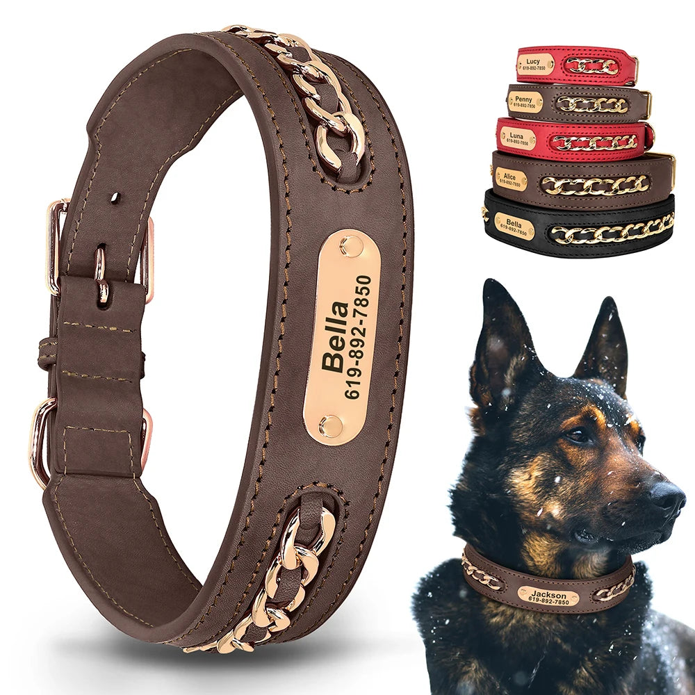 Collier en cuir personnalisé pour chien – plaque d'identification