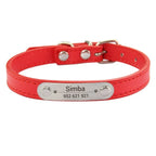 Collier personnalisé pour chien – prénom gravé anti-fugue