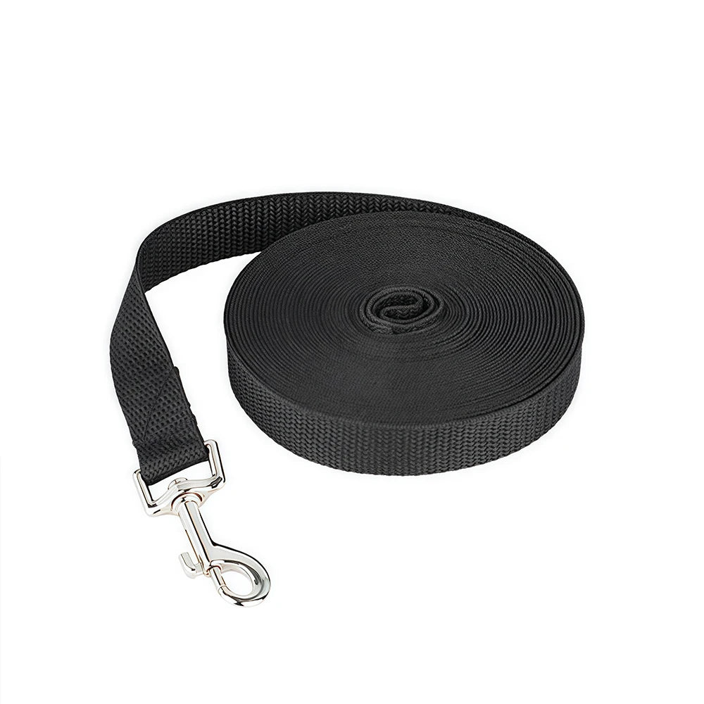 Laisse longue de dressage pour chien