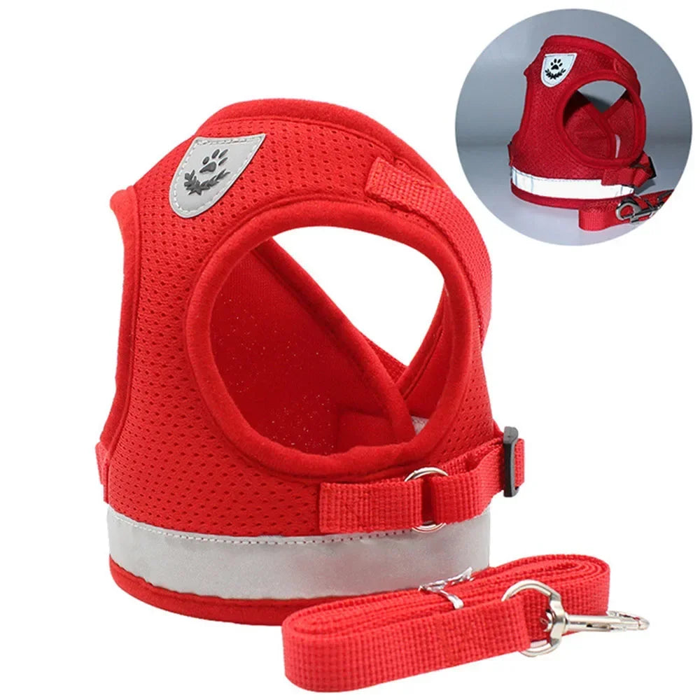 Ensemble harnais et laisse pour chat