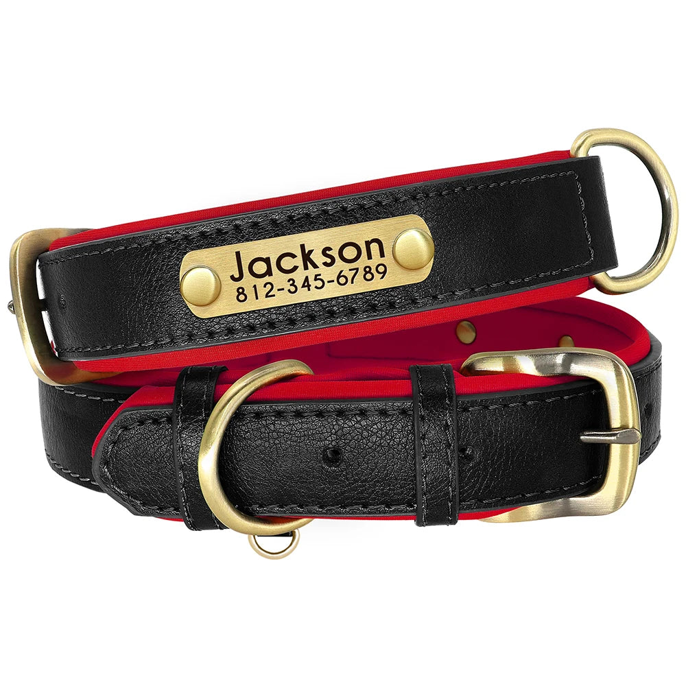Collier en cuir personnalisé avec plaque pour chien