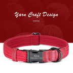 Collier pour chien personnalisé – gravure du prénom