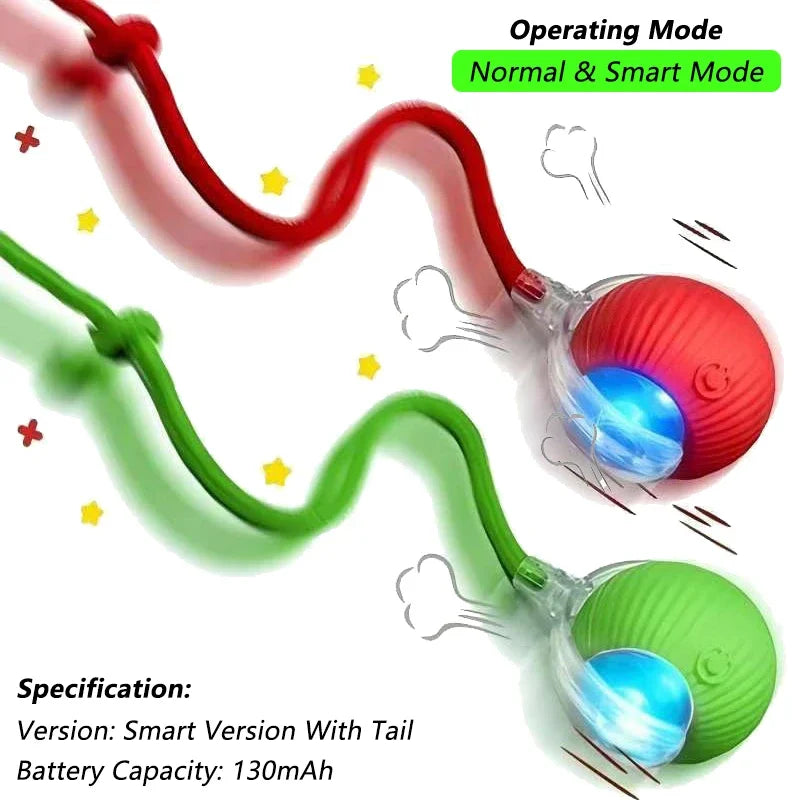 Balle interactive rechargeable pour chat