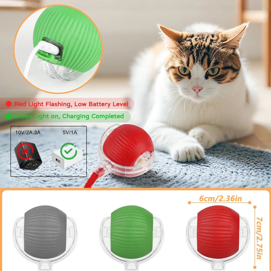 Balle interactive rechargeable pour chat