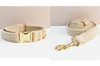 Ensemble collier et laisse en velours Teddy