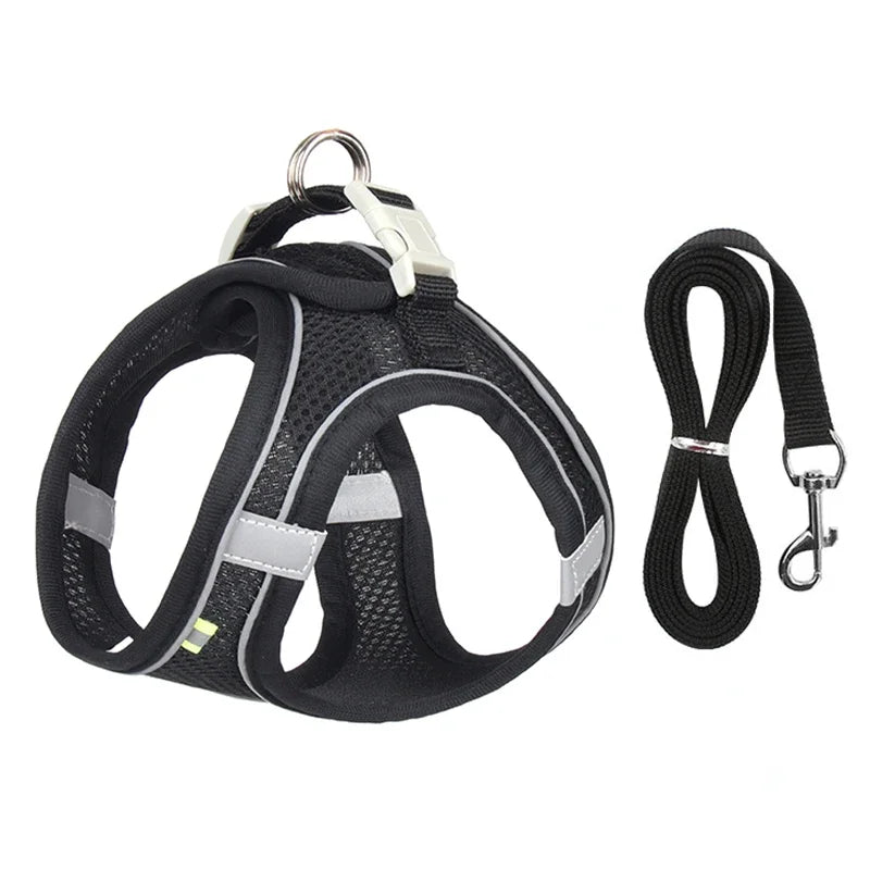 Ensemble harnais pour chiot et petit chien