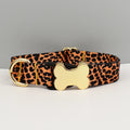 Collier et laisse assortis personnalisés – motif ethnique