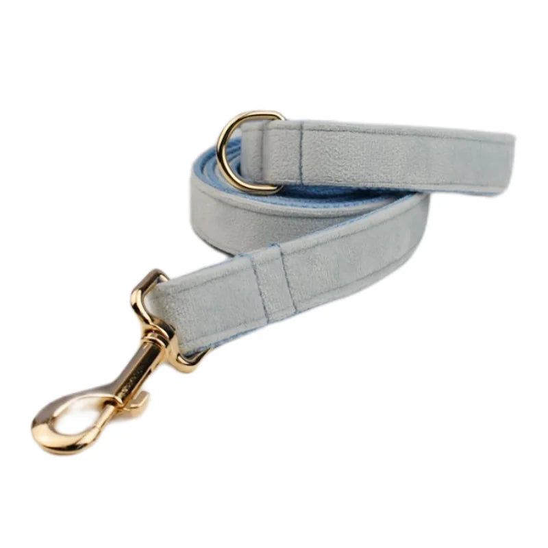 Ensemble collier et laisse en velours bleu clair