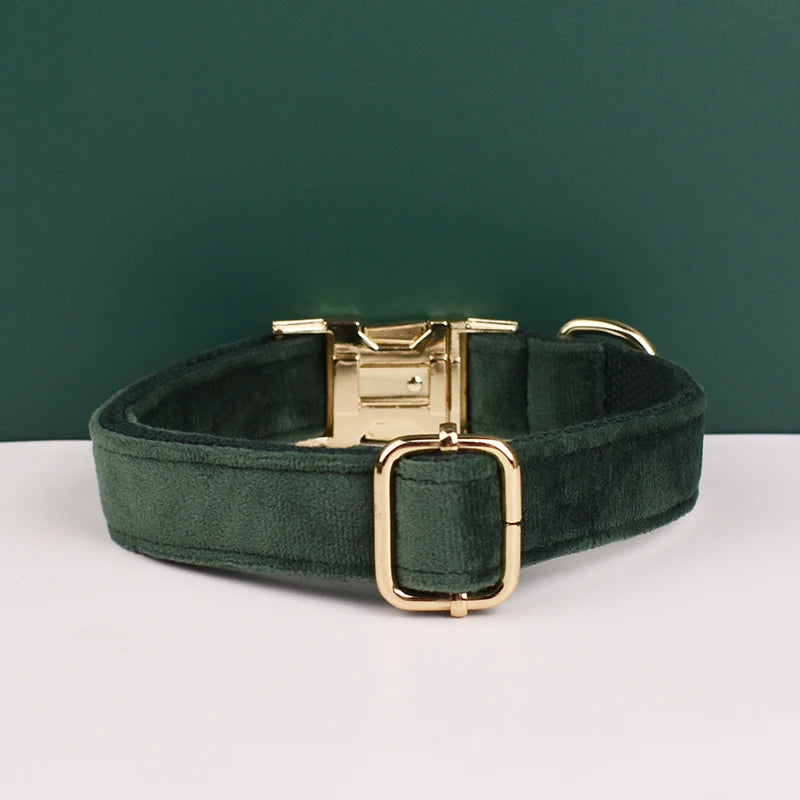 Ensemble collier, harnais et laisse en velours