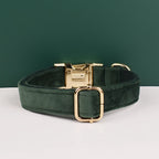 Ensemble collier, harnais et laisse en velours
