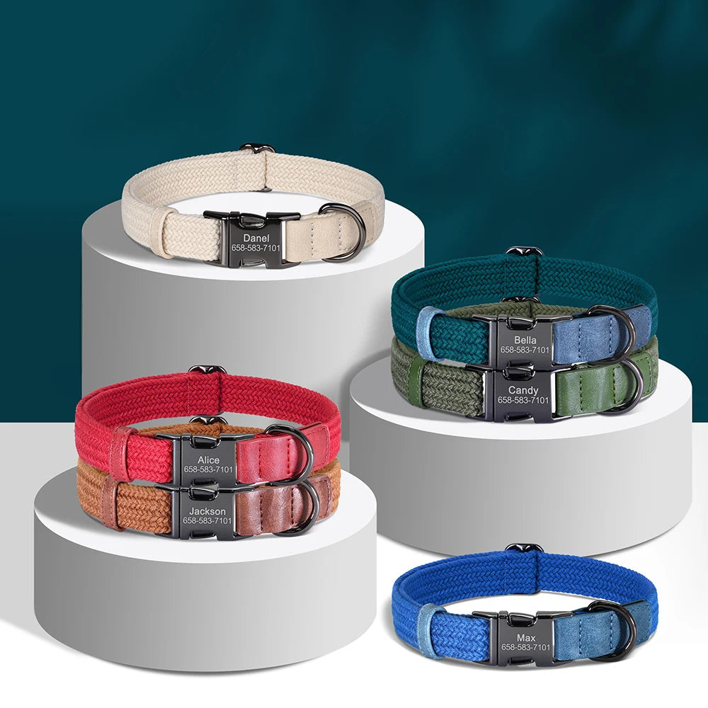 Collier pour chien personnalisé – gravure du prénom