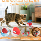 Balle interactive rechargeable pour chat