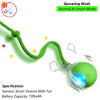 Balle interactive rechargeable pour chat