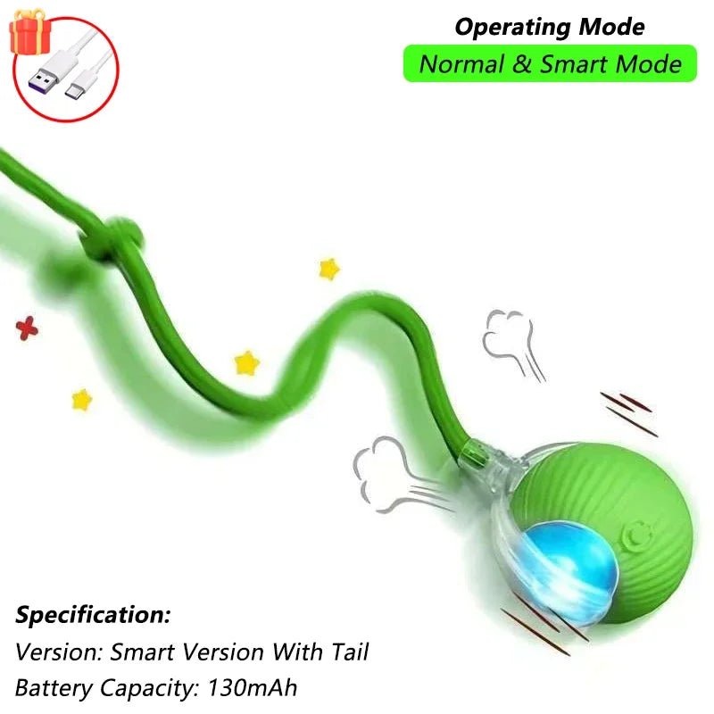 Balle interactive rechargeable pour chat