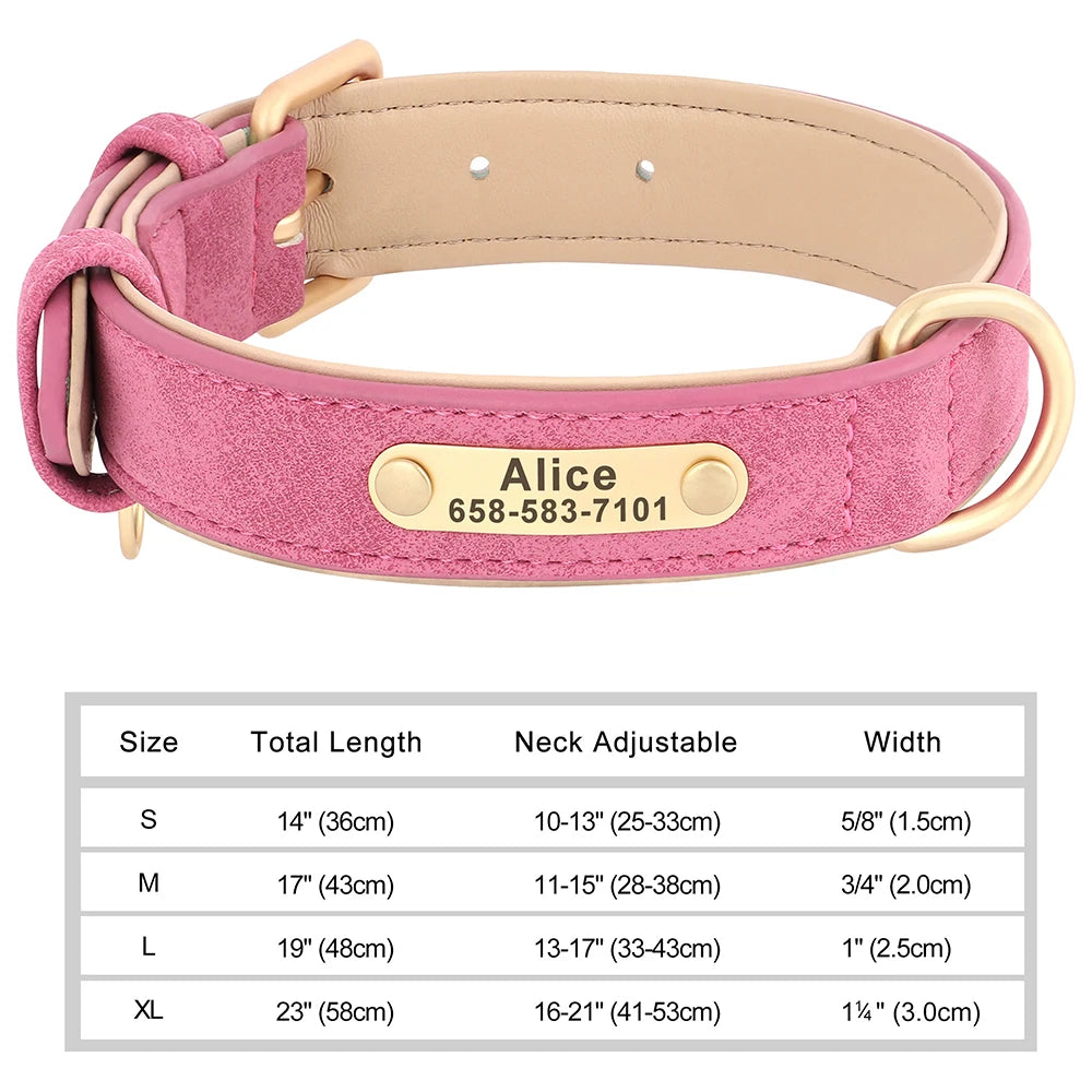 Collier personnalisé doré pour chien