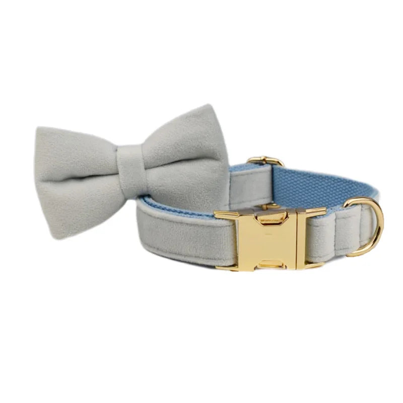 Ensemble collier et laisse en velours bleu clair