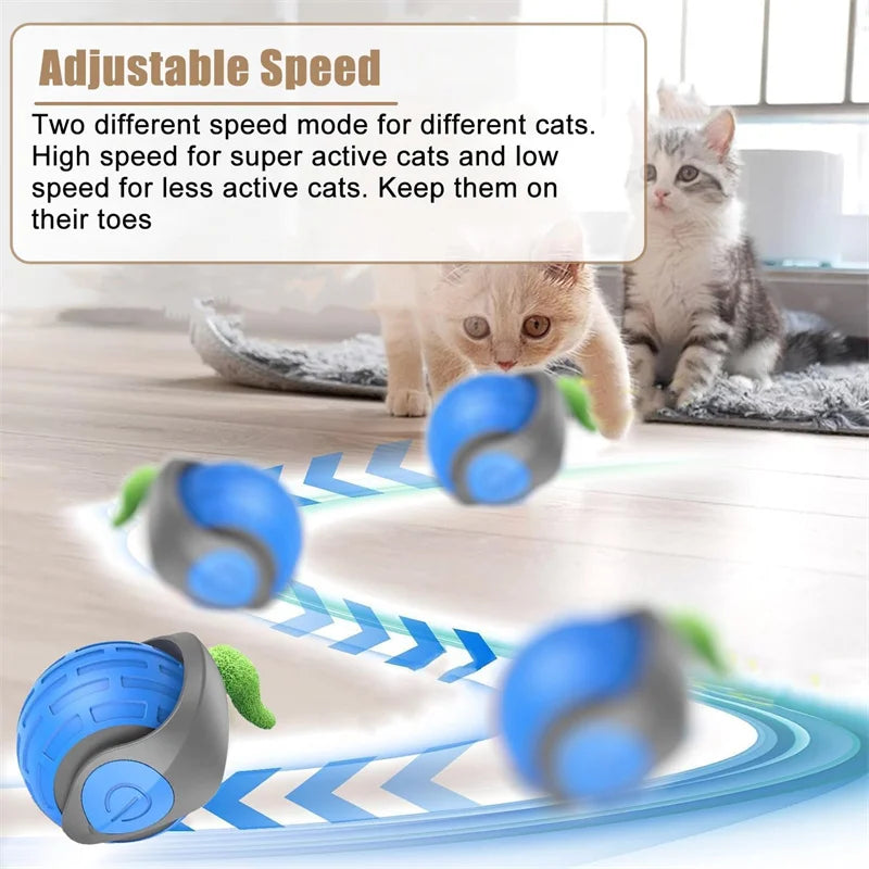 Balle interactive automatique pour chat – rechargeable USB