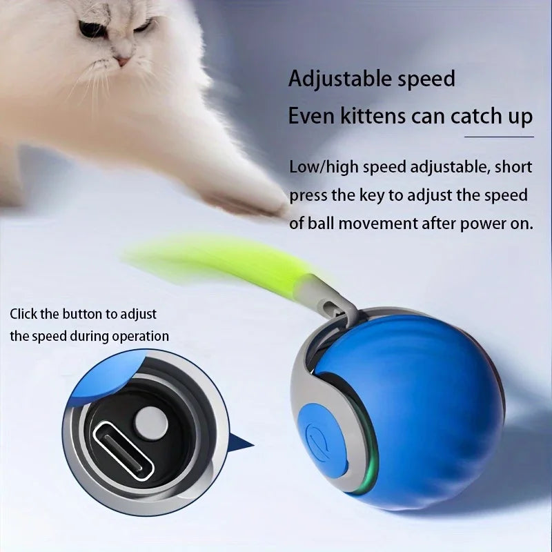 Balle interactive automatique pour chat – rechargeable USB
