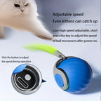 Balle interactive automatique pour chat – rechargeable USB