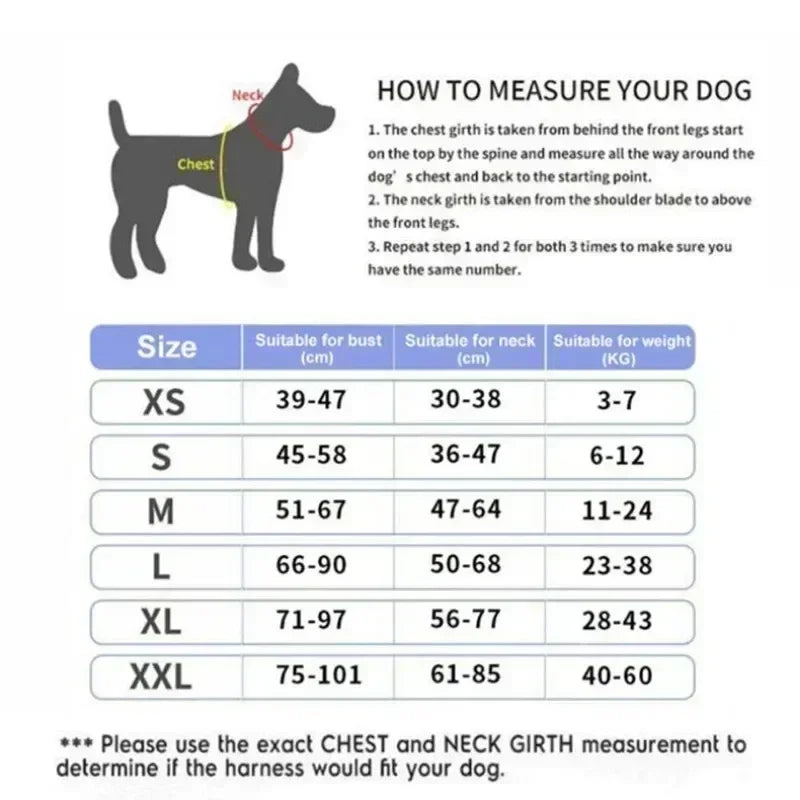 Harnais personnalisé pour chien