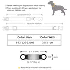 Collier réfléchissant personnalisé pour chat
