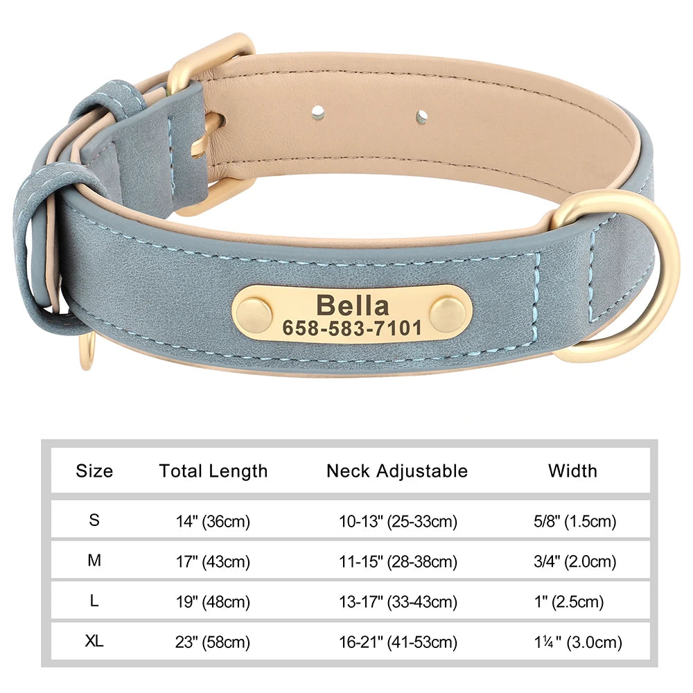 Collier personnalisé doré pour chien