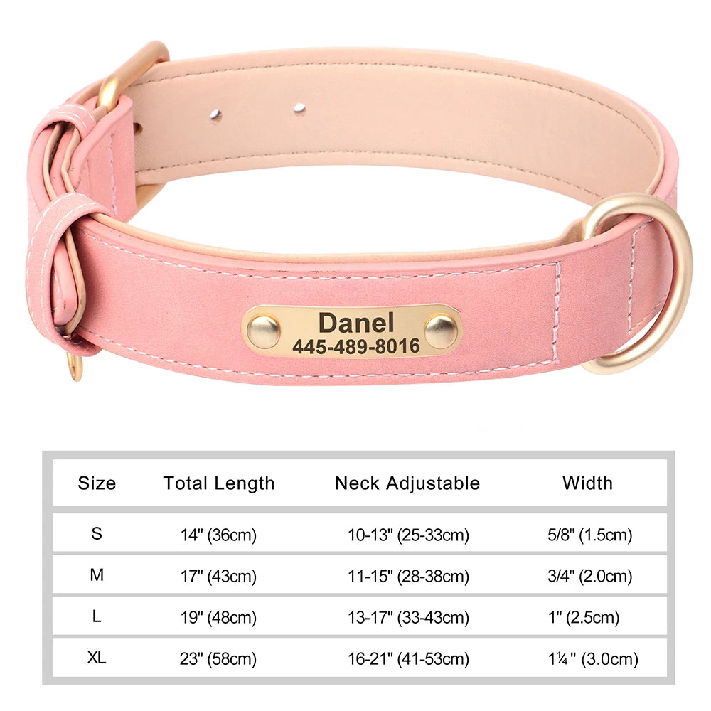 Collier personnalisé doré pour chien
