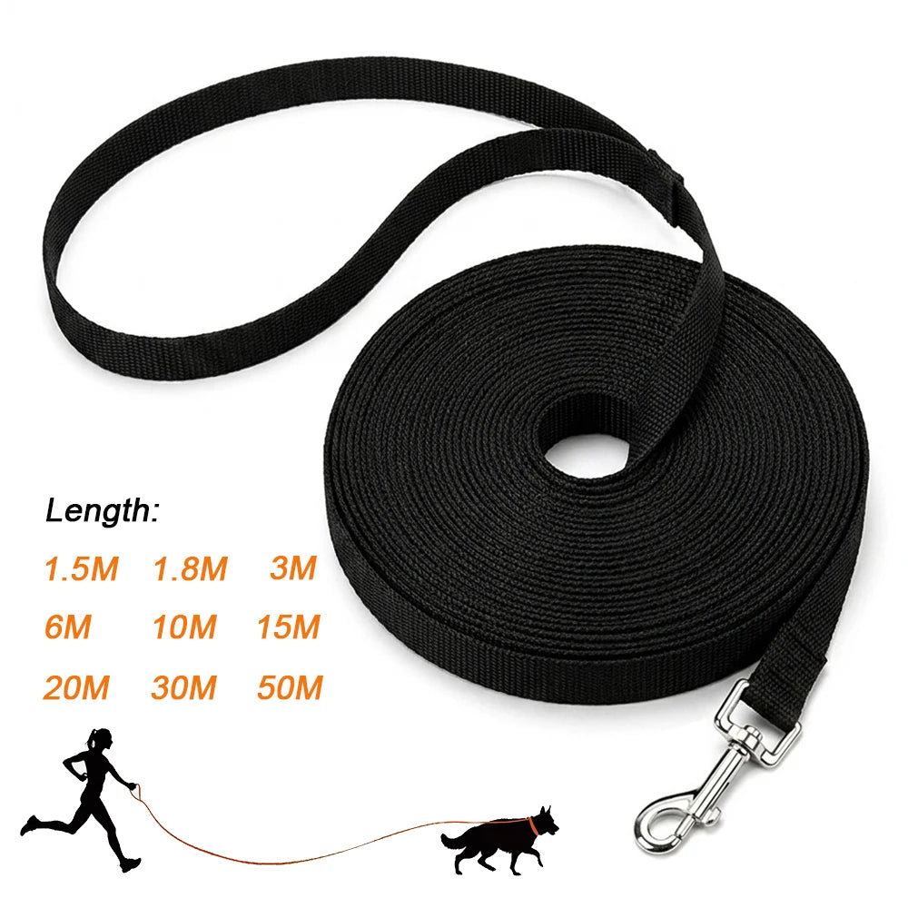 Laisse longue de dressage pour chien