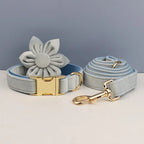 Ensemble collier et laisse en velours bleu clair