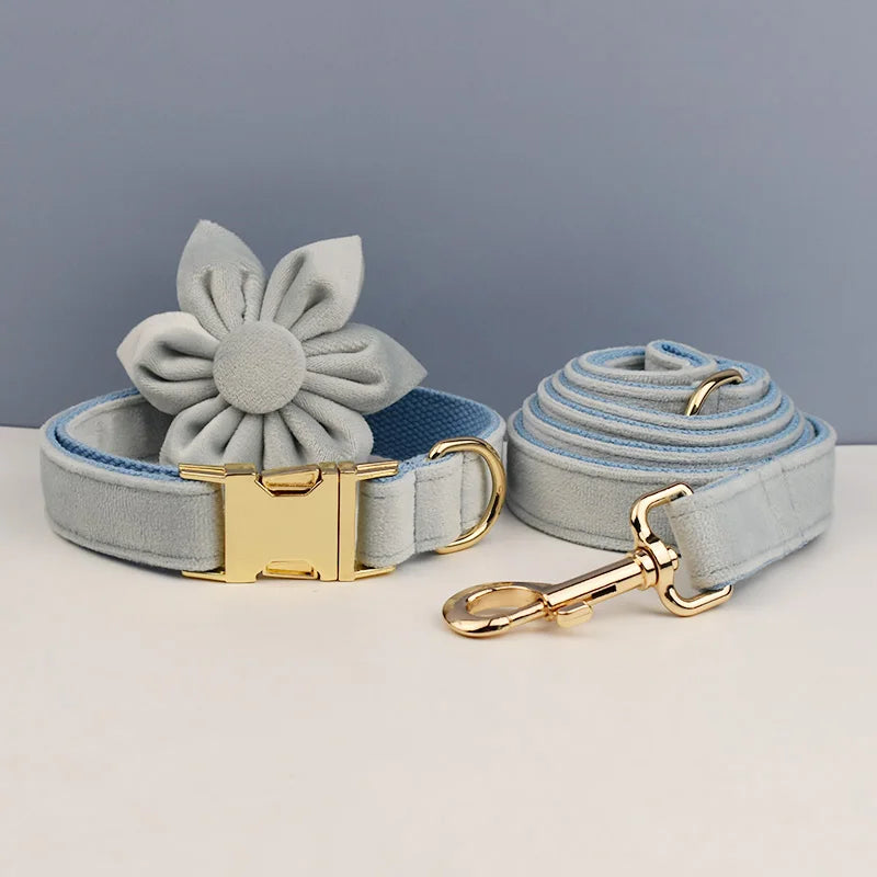 Ensemble collier et laisse en velours bleu clair