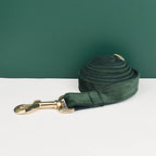 Ensemble collier, harnais et laisse en velours