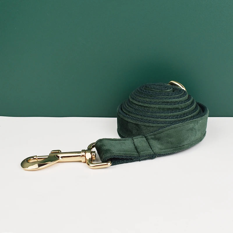 Ensemble collier, harnais et laisse en velours