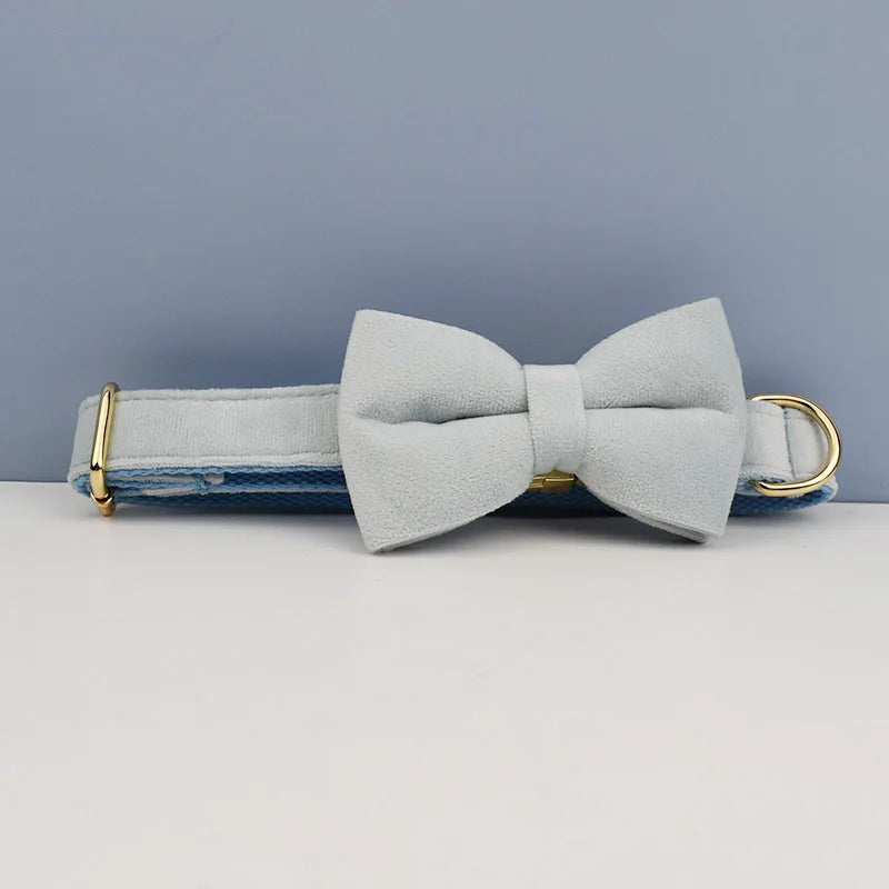 Ensemble collier et laisse en velours bleu clair