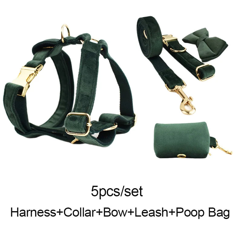 Ensemble collier, harnais et laisse en velours