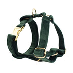 Ensemble collier, harnais et laisse en velours