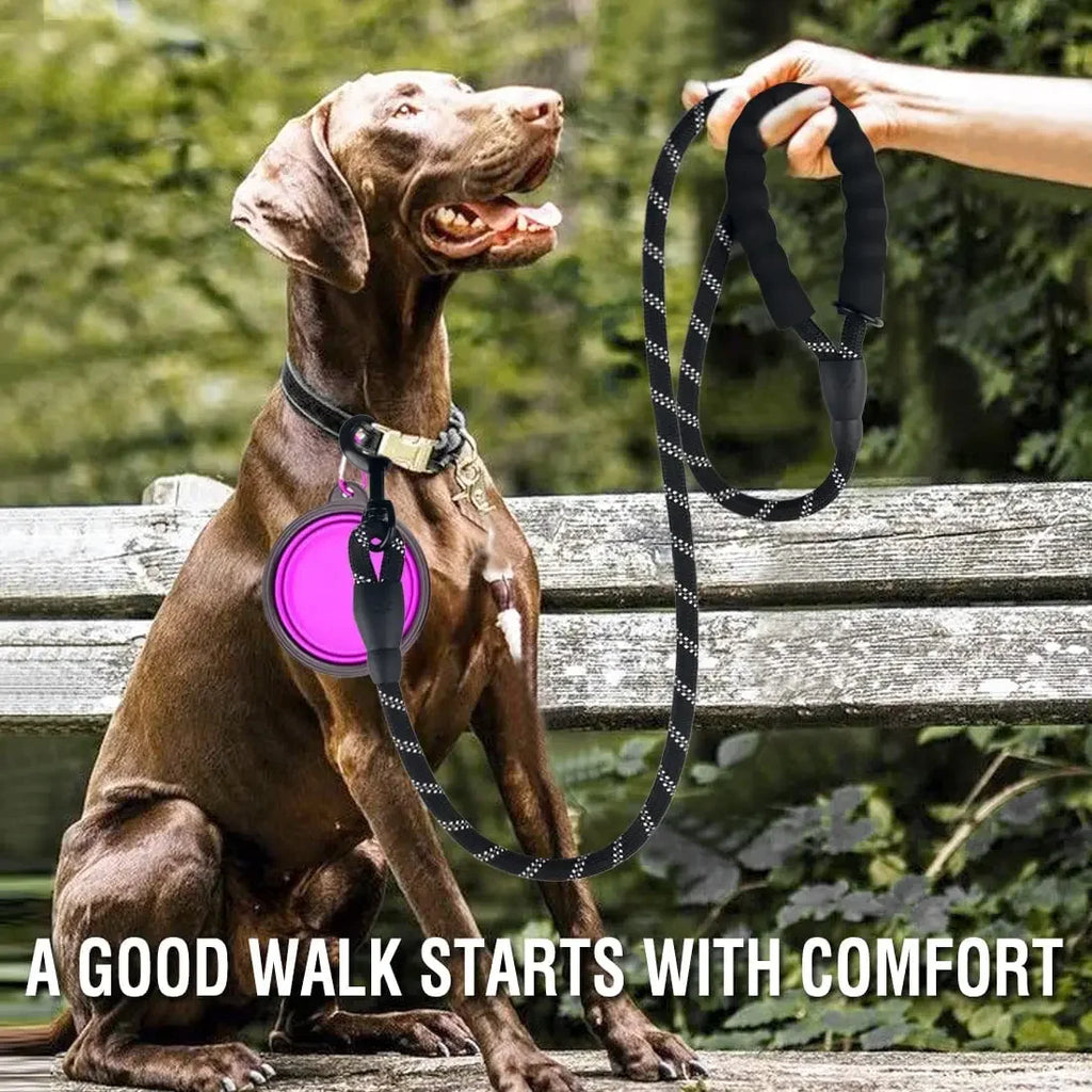 Laisse résistante réfléchissante pour chien