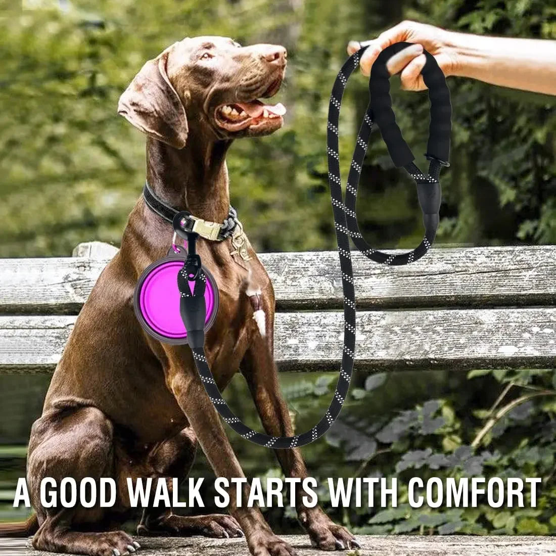 Laisse résistante réfléchissante pour chien